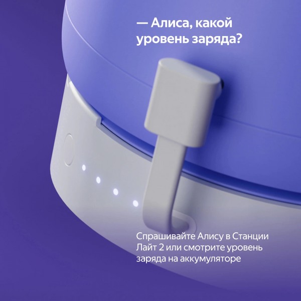 Портативный аккумулятор для Станции Лайт 2