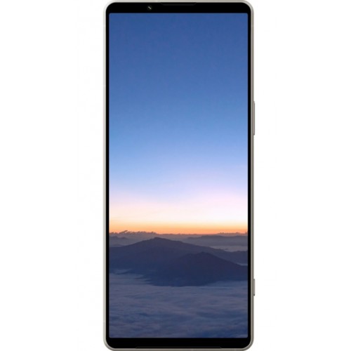 Смартфон Sony Xperia 1 V 12/512 ГБ (XQ-DQ72), серебристый