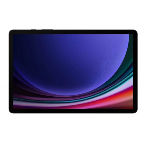 Планшет Samsung Galaxy Tab S9 5G, 12/256GB, Graphite 