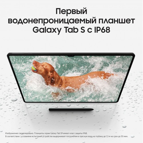 Планшет Samsung Galaxy Tab S9, 8/128GB, Graphite 