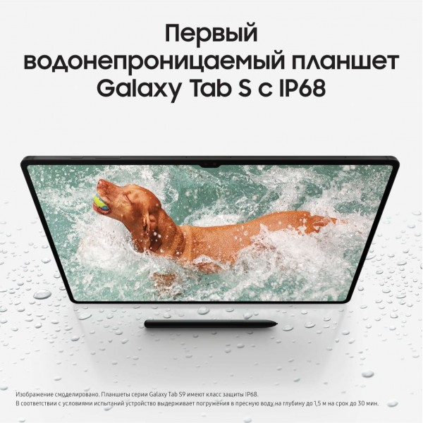 Планшет Samsung Galaxy Tab S9 5G, 8/128GB, Graphite 