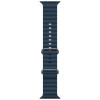 Умные часы Apple Watch Ultra 2 49 мм Titanium Case, титановый/blue Ocean Band One Size