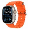 Умные часы Apple Watch Ultra 2 49 мм Titanium Case, титановый/Orange Ocean Band One Size