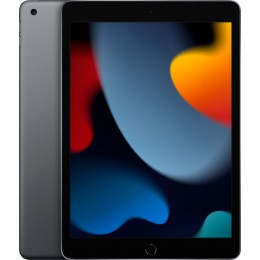 Планшет Apple iPad 10.2 (9gen), 256 ГБ, Wi-Fi, серый