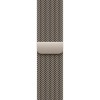 Apple Watch S10 46mm Natural Titanium Case with Natural Milanese Loop S/M (HK)