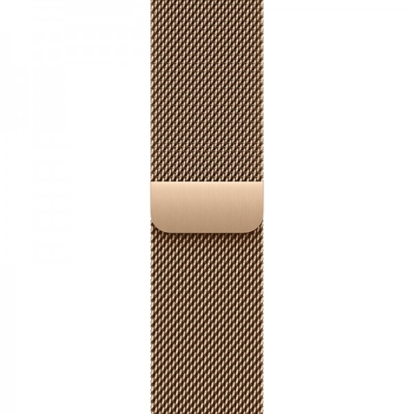Apple Watch S10 42mm: Золотой титановый корпус с золотым миланским браслетом