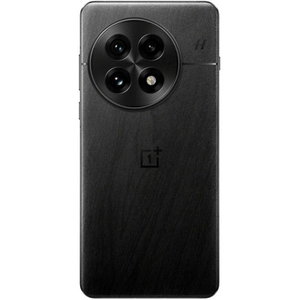 Смартфон OnePlus 13 12/256, Dual nanoSIM, CN, черный (PJZ110)