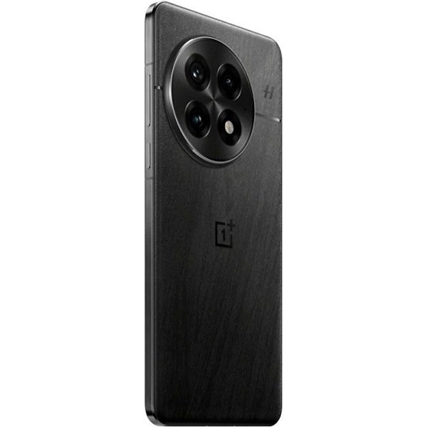 Смартфон OnePlus 13 12/256, Dual nanoSIM, CN, черный (PJZ110)