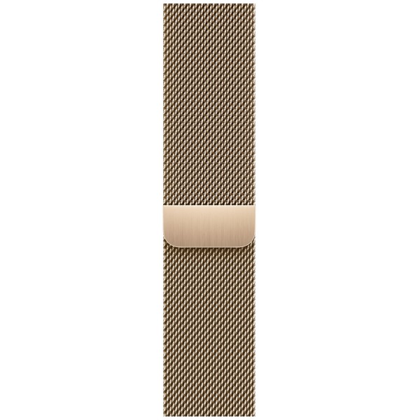 Умные часы Apple Watch Series 8 45 мм Steel Case, gold milanese
