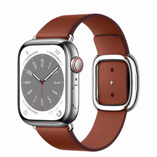 Умные часы Apple Watch Series 8 41 мм Silver Stainless Steel Case, brown modern buckle