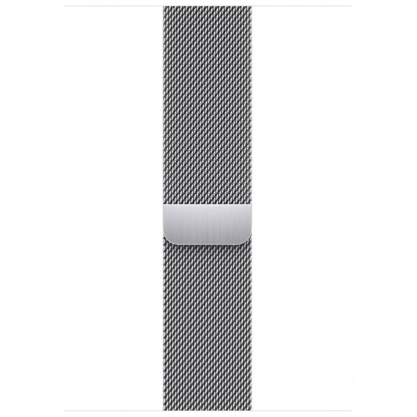 Умные часы Apple Watch Series 8 45 мм Steel Case, silver milanese